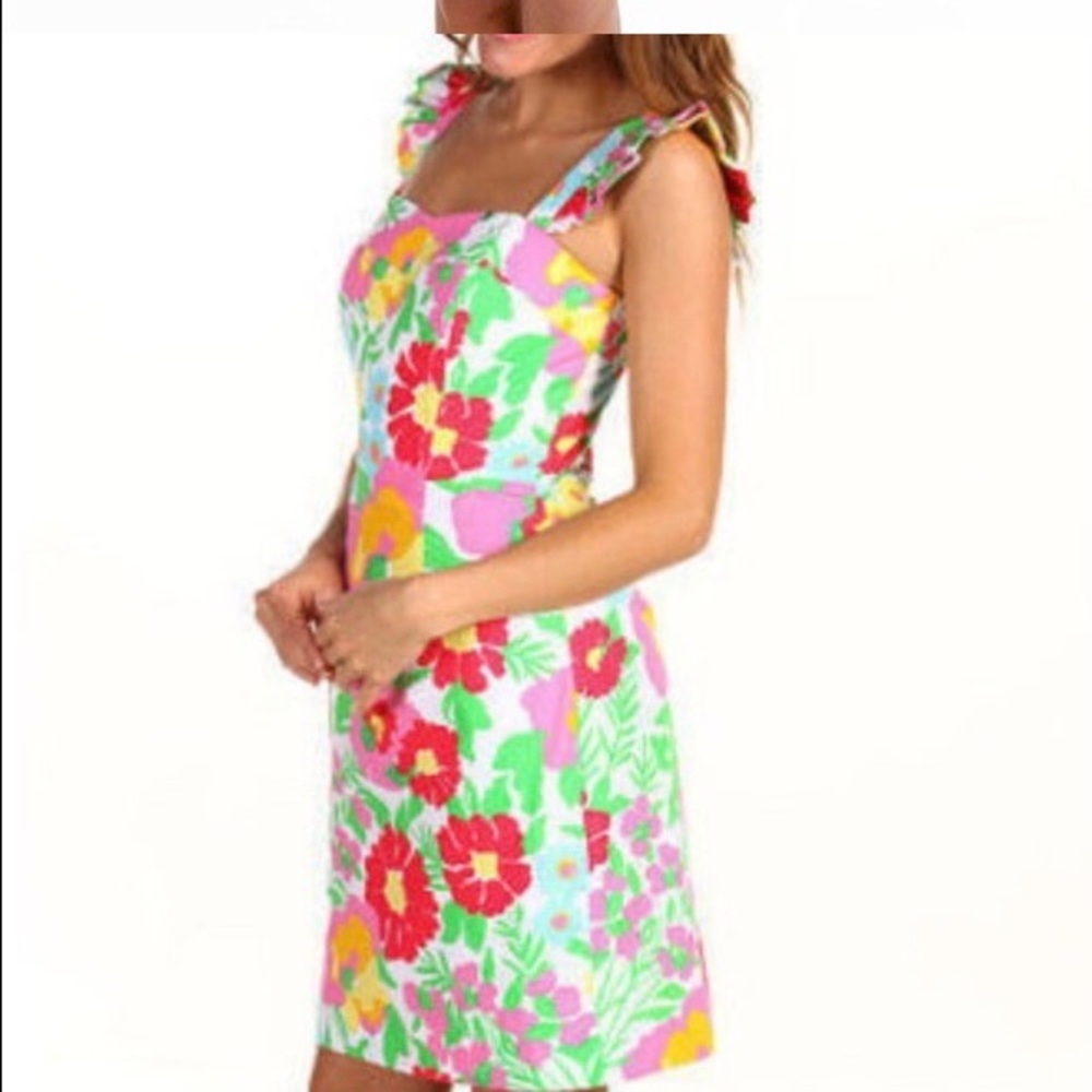 NWT Ants On Parade dress